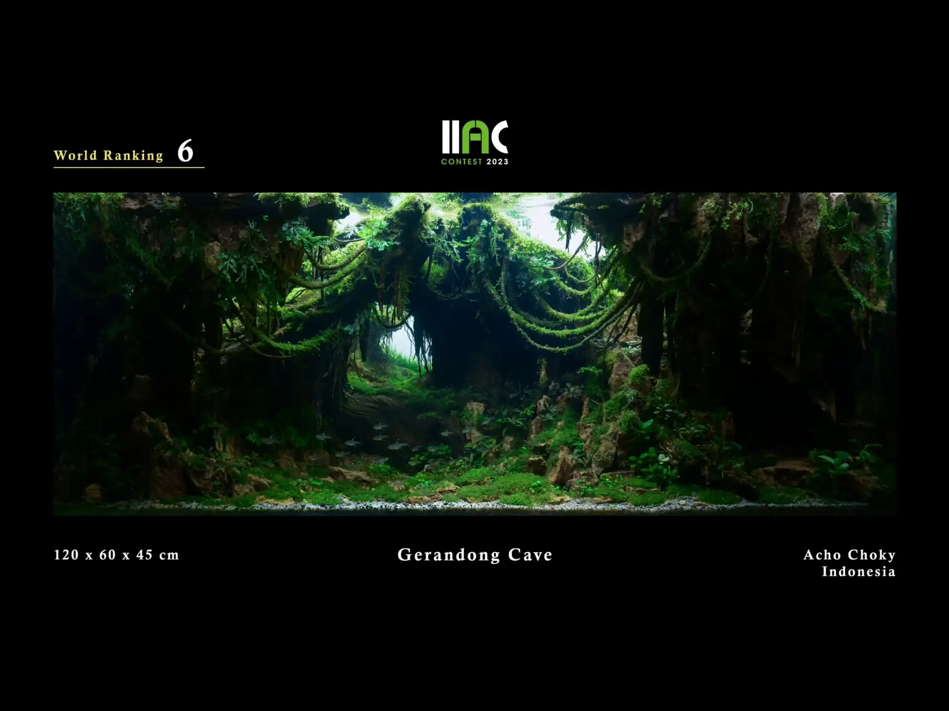 Gerandong Cave - IIAC 2023 #06 Acho Choky / Indonesia